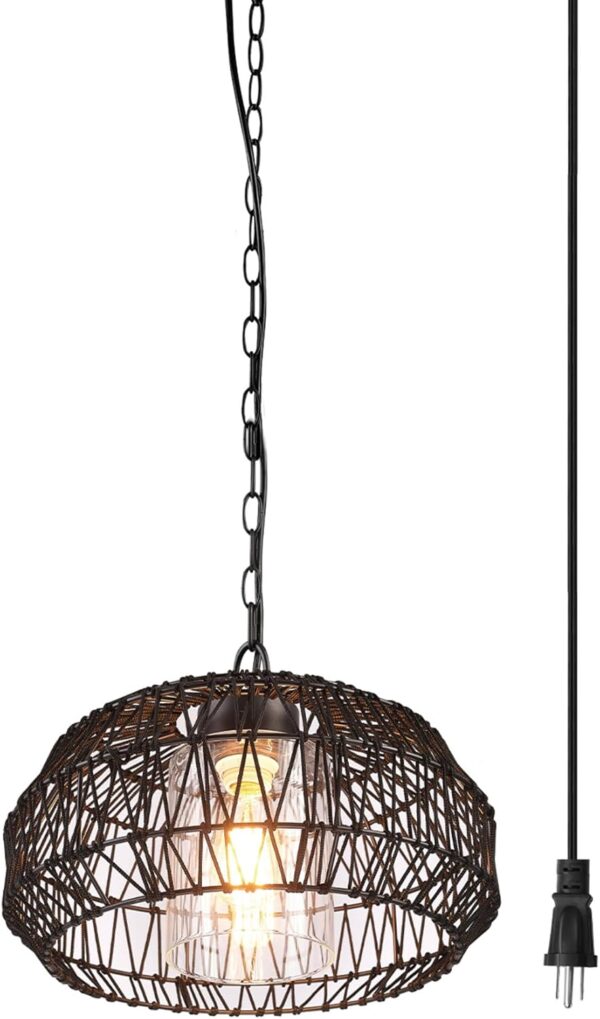 44759 1-Light Outdoor/Indoor Plug-in Pendant Light